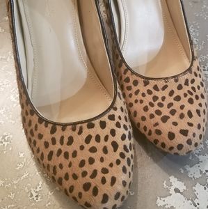 Leopard wedges-never worn
